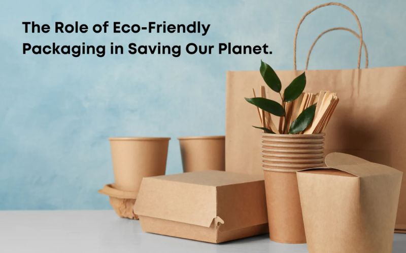 Eco-friendly molded pulp packaging Vietnam